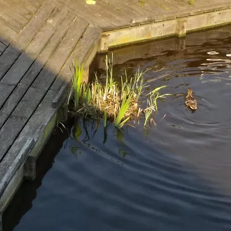 Huisje Aan Het Water, Omgeving Amsterdam